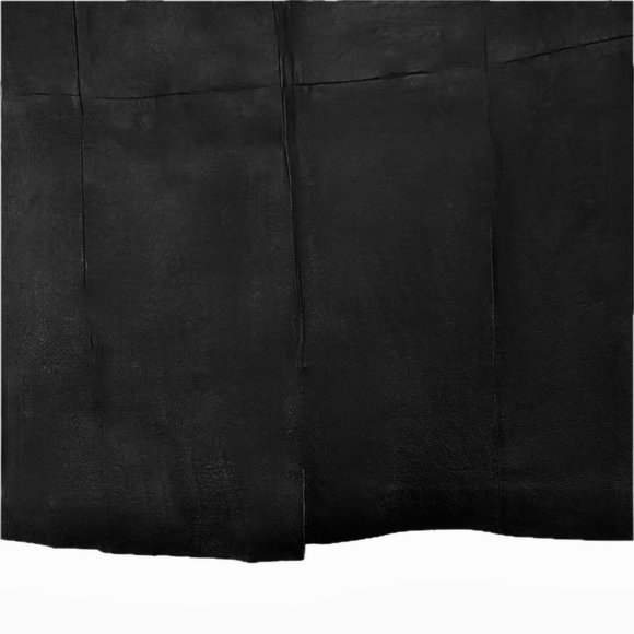 Chadwicks of Boston Black Leather Mini Skirt Womens 4P NWT - Picture 2 of 9